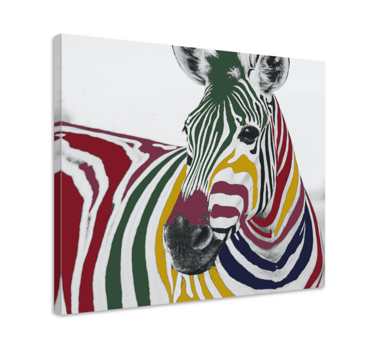 Colorful zebra portrait platna slike z motivi živali - TenStickers