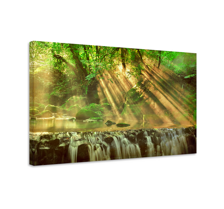 Sunlit forest stream platno slika zemljevidov - TenStickers
