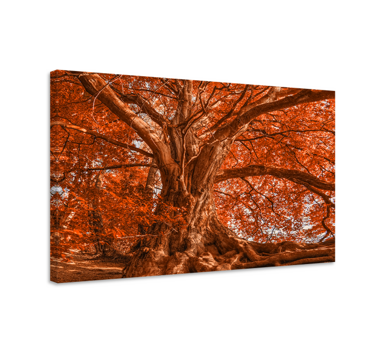 Majestic autumn canopy platna z enojnim drevesom - TenStickers