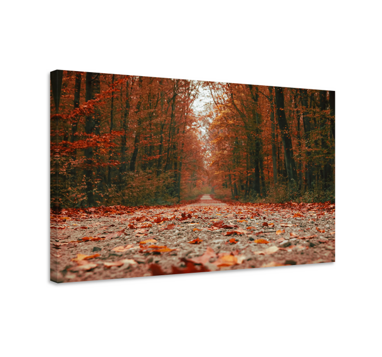 Fall trail platno slika zemljevidov - TenStickers