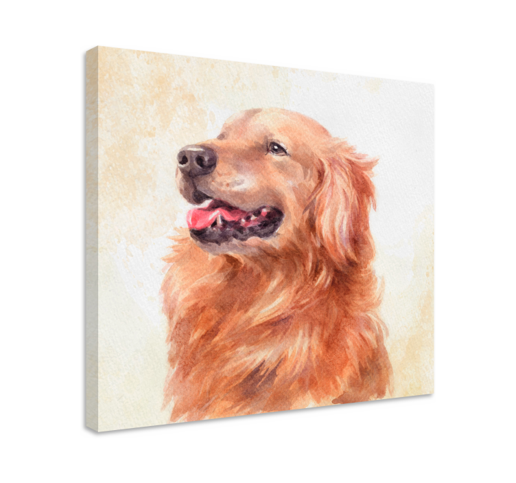 Golden retriever illustration platno slikarstvo pes - TenStickers