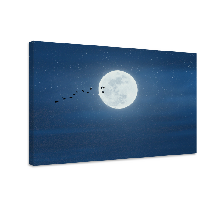 Moonlit flight platno slika zemljevidov - TenStickers