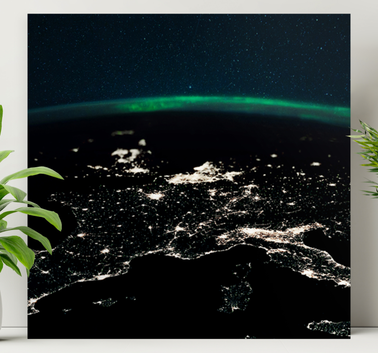 Aerial night view platno s sliko sveta - TenStickers