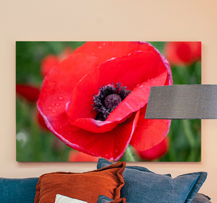 Close-up poppy flower platno slikanje cvetja - TenStickers