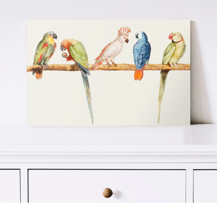 Colorful parrot collection platno slikarstvo pes - TenStickers