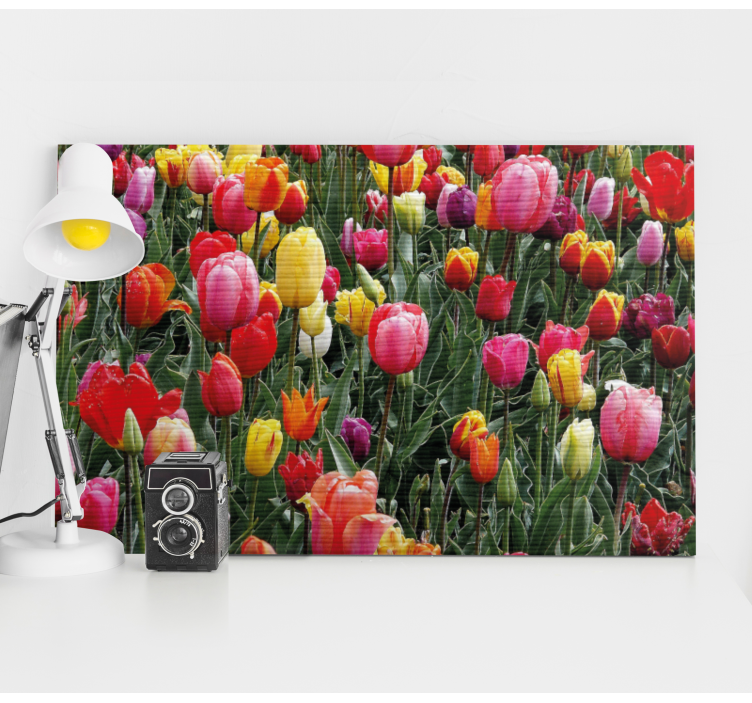 Colorful tulip blooms slikarsko platno z rožami - TenStickers