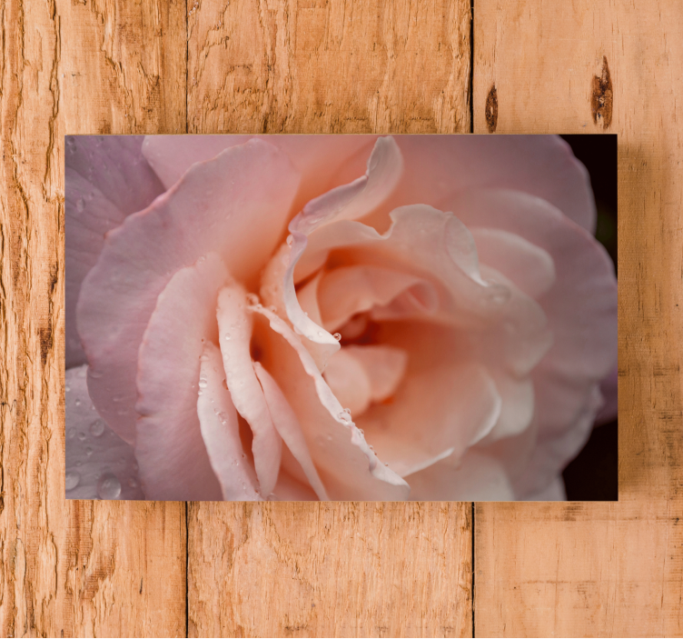 Delicate rose bloom slikarsko platno z rožami - TenStickers