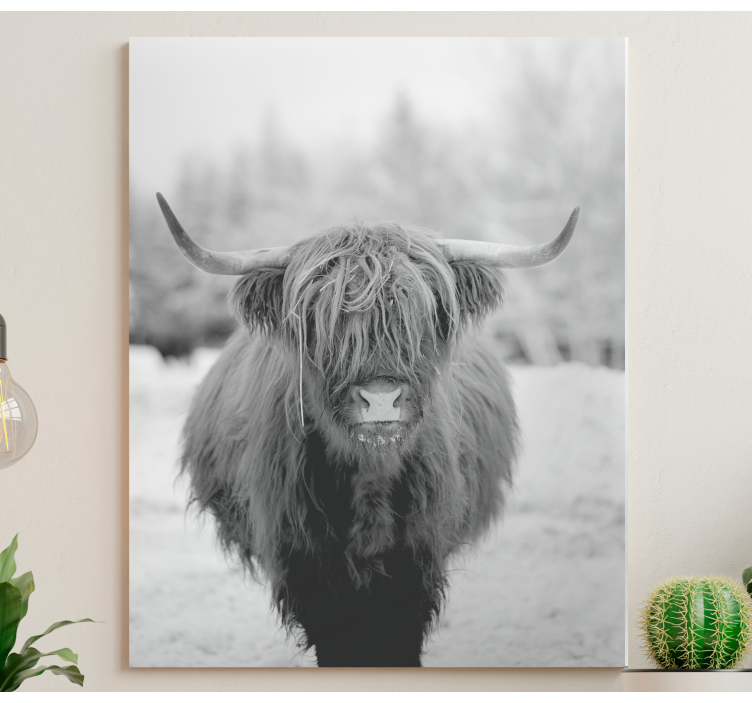 Highland cow portrait platna slike z motivi živali - TenStickers