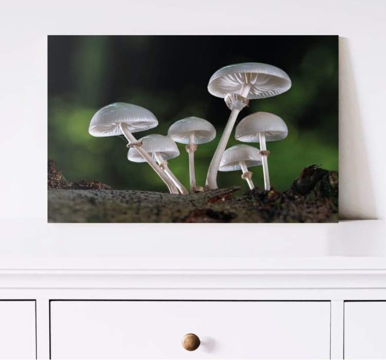 Mushroom forest scene slikarsko platno z rastlinami - TenStickers