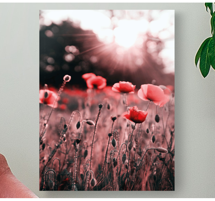 Poppy meadow radiance slikarsko platno z rožami - TenStickers