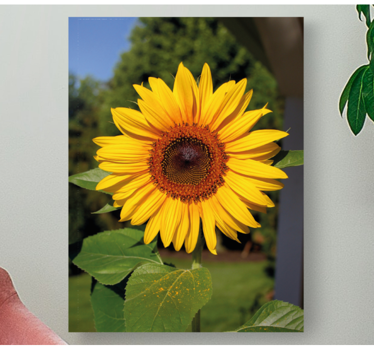 Sončni cvet na zelenem ozadju cvet platno - TenStickers