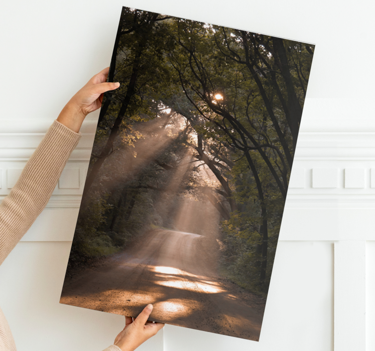 Sunshine woodland trail platno zemljevidov - TenStickers