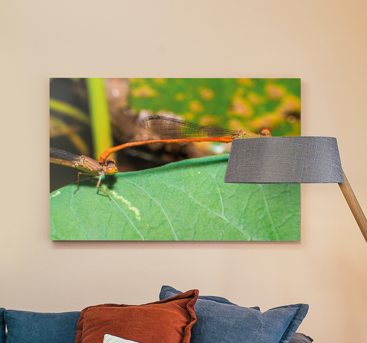 Uspavanka razmnoževanje kačjih pastirjev - TenStickers