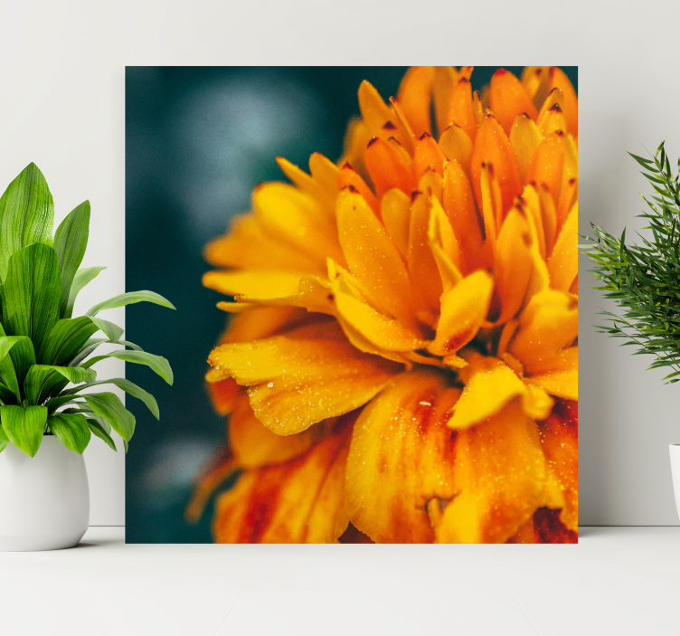Vibrant orange blossom platno slikanje cvetja - TenStickers