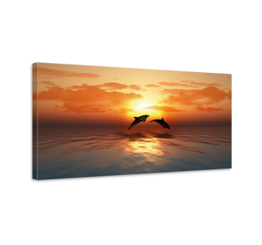 3d stenski delfini na stenah - TenStickers