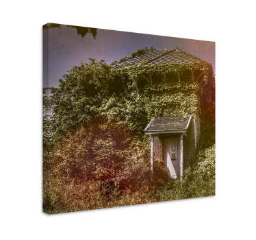 Abandoned rustic cottage platno v rustikalnem slogu - TenStickers
