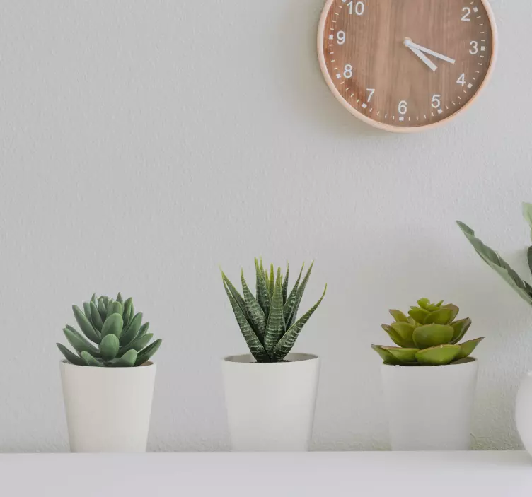 3d nalepke za stenske stenske poslikave na kaktusih - TenStickers