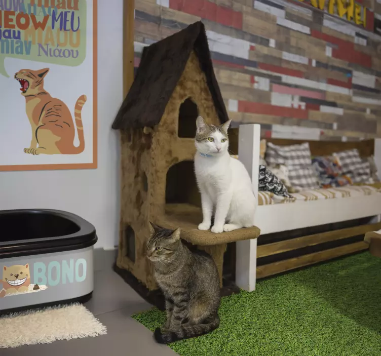 Kocna Škatla za Mačje Stranišče Stenske nalepka za pse in mačke - TenStickers