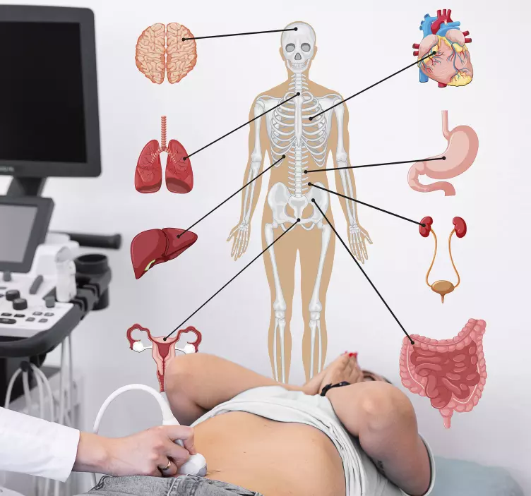 Nalepka za medicinske infografike - TenStickers