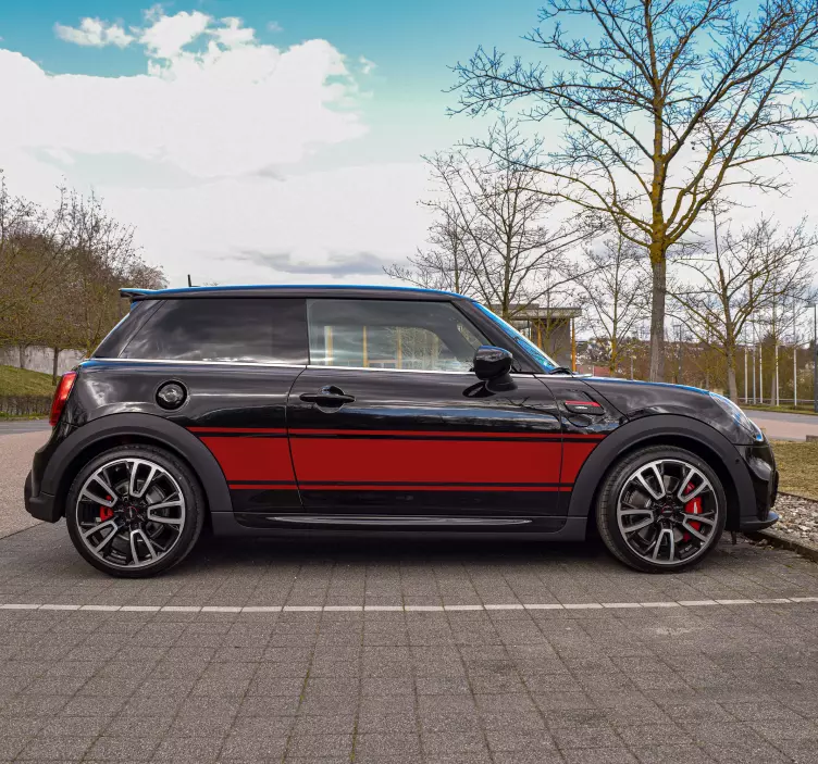 Nalepka po meri rally car - TenStickers