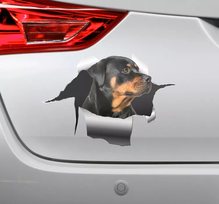 Nalepka z luknjo rottweillerja nalepka za hišne ljubljenčke - TenStickers