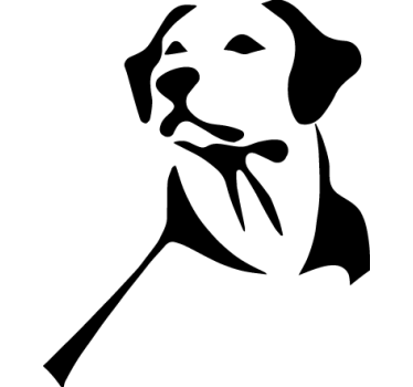 Labrador retriever pasji avtomobil nalepka - TenStickers