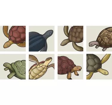 Raznolikost prenosa ploščic za želve - TenStickers