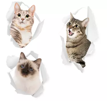 Stenske nalepke za živali - TenStickers