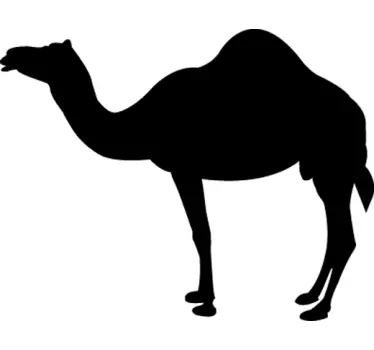 Nalepka stene silhuete kamel - TenStickers