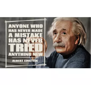 Napake einstein citat decal - TenStickers