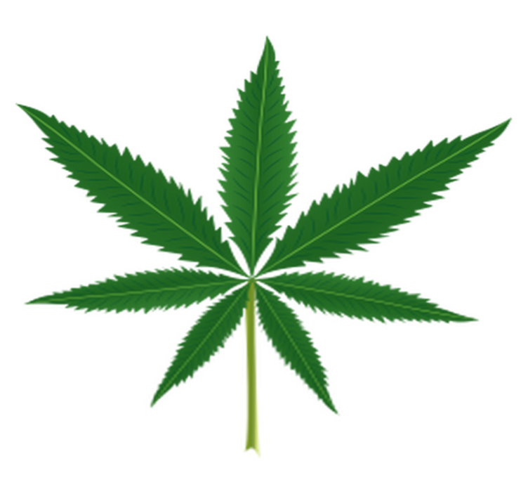 Cvetlična vinilna preproga list marihuane - TenStickers