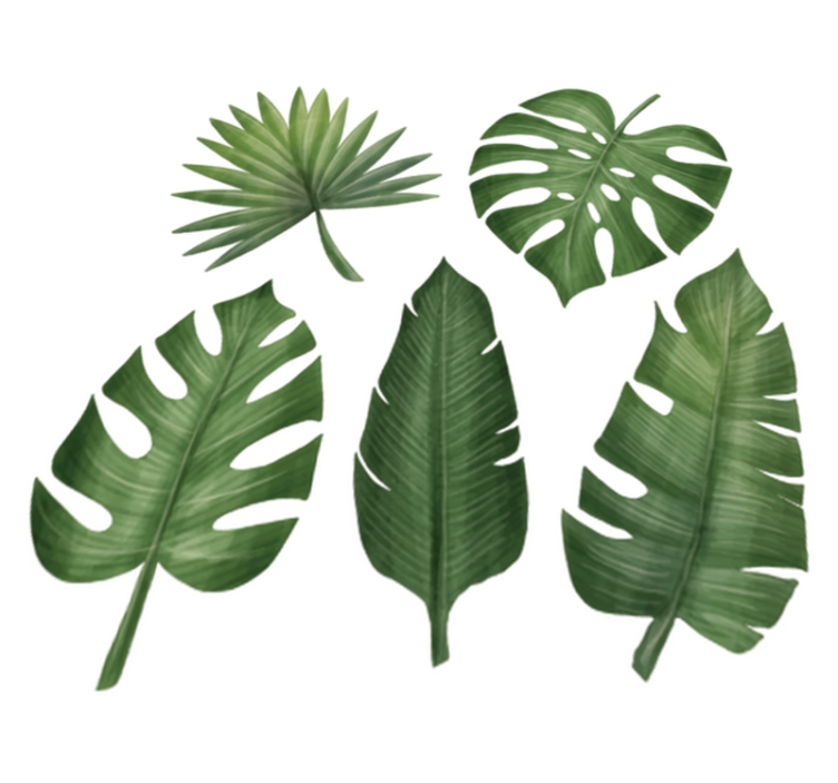 Cvetlična vinilna preproga velike zelene liste - TenStickers