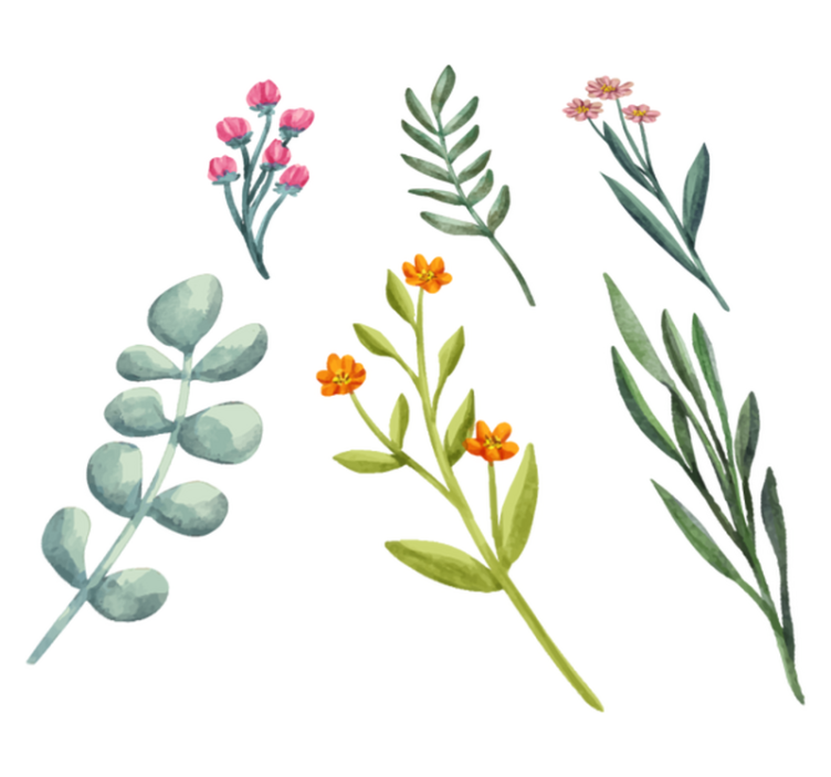 Cvetlična vinilna preproga rastlinske veje - TenStickers