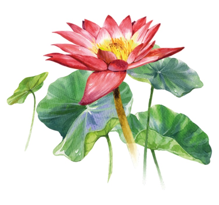 Vinilne preproge za spalnico iluzija akvarelnih lotosov - TenStickers