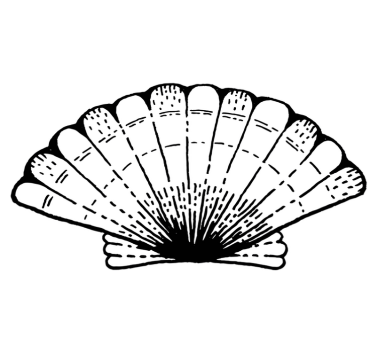 Poudarek z vzorcem školjke Naravne vinilnea preproga - TenStickers