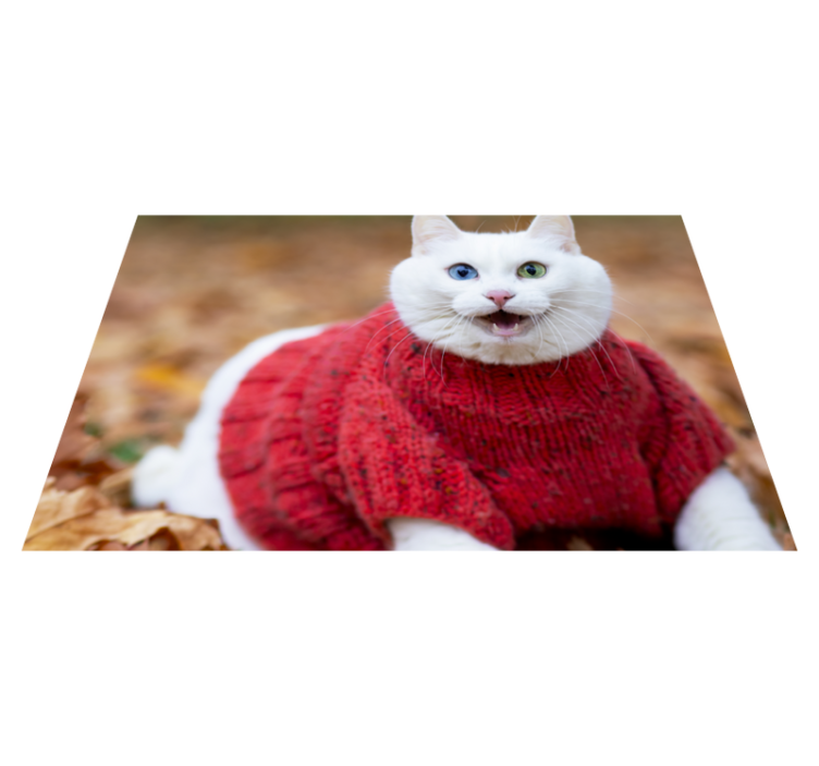 Playful cat sweater tepih z živalskim potiskom - TenStickers