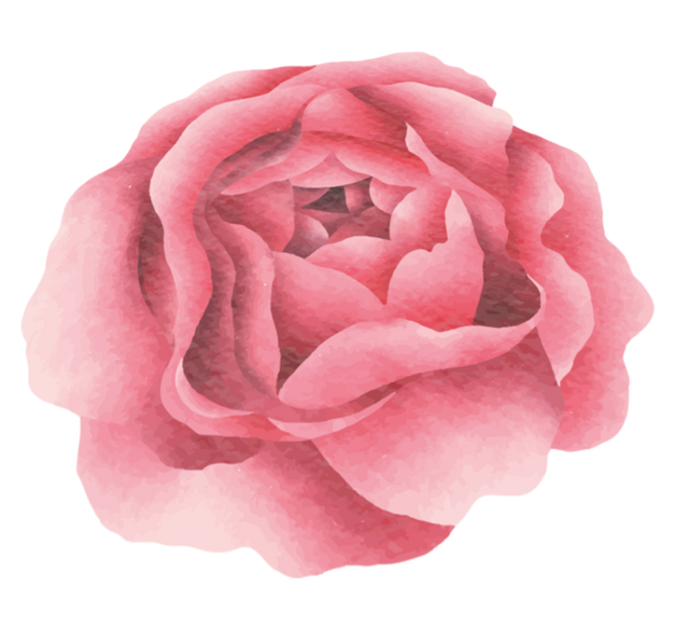 Rdečilo roza cvet cvetlična vinilna preproga - TenStickers