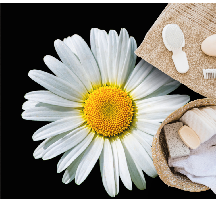 črno-bela marjetica cvetlična preproga - TenStickers