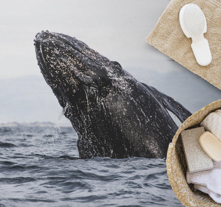 Kit v preprogi morskih živali - TenStickers