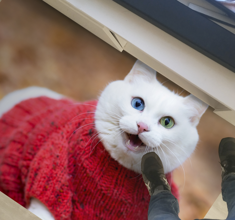 Playful cat sweater tepih z živalskim potiskom - TenStickers