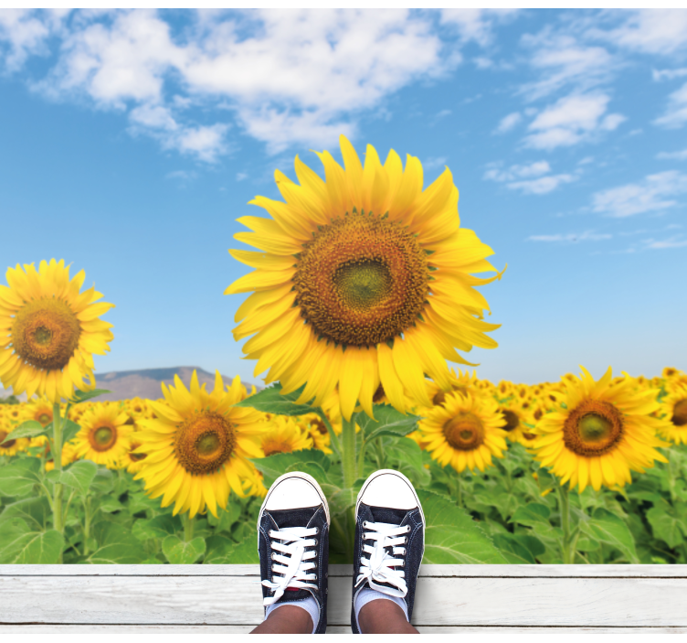 Sonce cvet polje cvetlični vinil preprogo - TenStickers