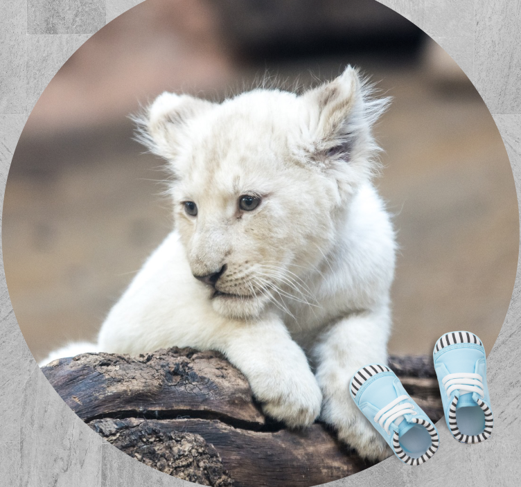 Tepih z živalskim potiskom white lion cub - TenStickers