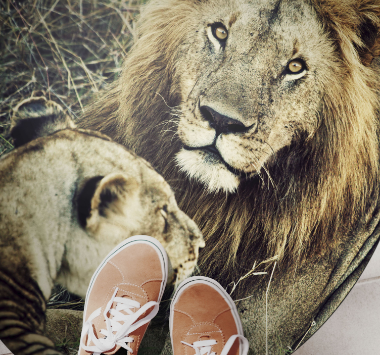 Veličasten levji par Tepih z živalskim potiskom - TenStickers