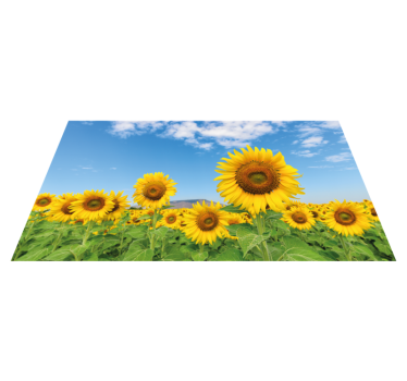 Sonce cvet polje cvet vinil preproga - TenStickers