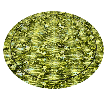 Reptile green skin vinilni tepih z živalskim potiskom - TenStickers