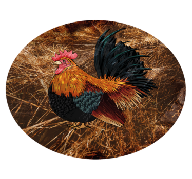 Colorful rooster representation vinilni tepih z motivom - TenStickers