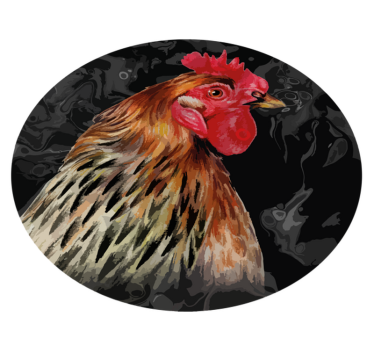Večbarvni petelin na črni podlagi krožna podloga - TenStickers