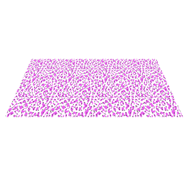 Fuchsia leopard pattern vinilni tepih s potiskom živali - TenStickers