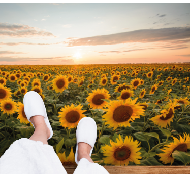 Sonce cvet sonce vzhod cvet preproga - TenStickers