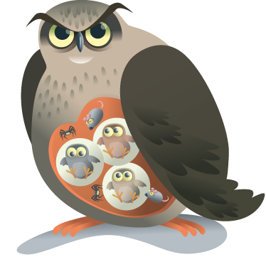Tepih z živalskim potiskom mati sova - TenStickers